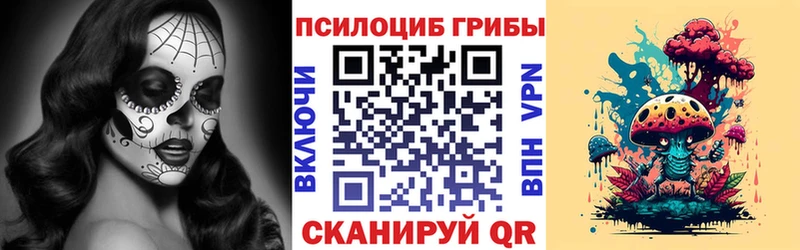 Псилоцибиновые грибы Psilocybe  купить закладку  Богданович 